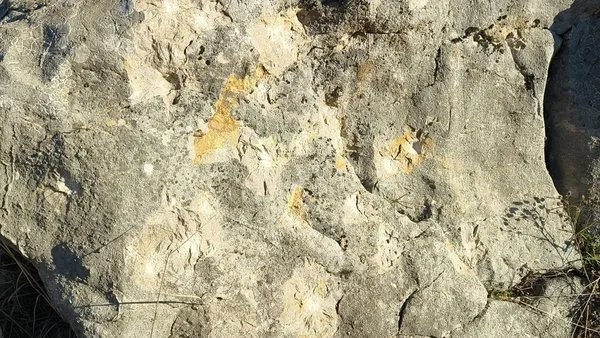 Yeniden İnşa Edilen Anıt