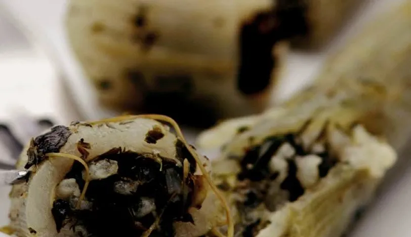 Zeytinyağlı Kenger Dolma