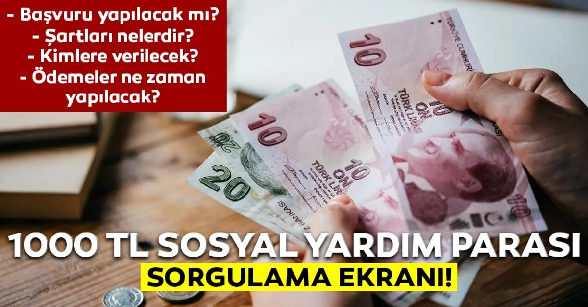 Son Dakika Haberler E Devlet Ile 1000 Tl Sosyal Yardim Destegi Parasi Sorgulama Ekrani 1000 Tl Yardim Parasi Kimlere Ne Zaman Verilecek Iste Detaylar Son Dakika Haberler