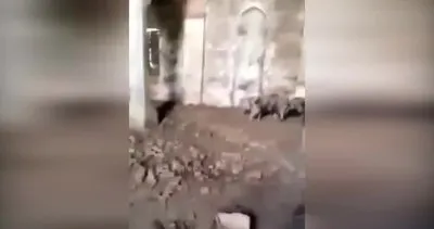 Ermenistan’ın işgal ettiği Zengilan’da tarihi bir camiyi domuz ahırına çevirdiği ortaya çıktı | Video