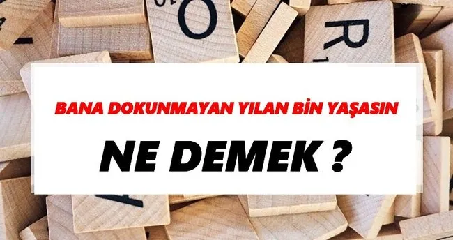 Bana dokunmayan yılan bin yaşasın Ne Demek? TDK’ya Göre Bana dokunmayan yılan bin yaşasın Sözlük Anlamı Nedir?