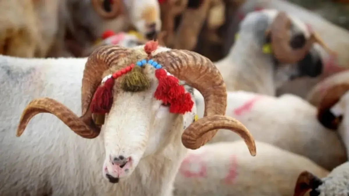 Kurban Bayramı ne zaman, bayram tatili kaç gün? 2026 Kurban Bayramı tatil takvimi