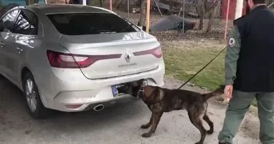 Narkotik köpeği Luca uyuşturucuya geçit vermedi #bolu Narkotik köpeği Luca uyuşturucuya geçit vermedi #bolu