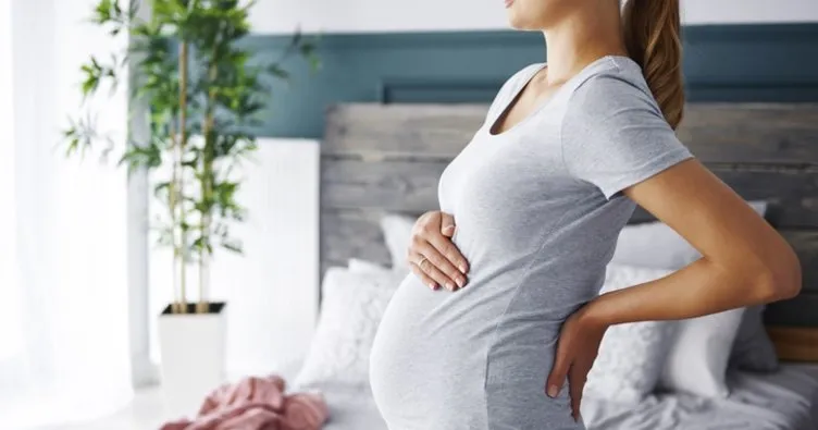Hamilelikte 2. Hafta: 2 Haftalık Gebelik Gelişimi - 2 Haftalık Gebelik İdrar Testinde Çıkar mı?