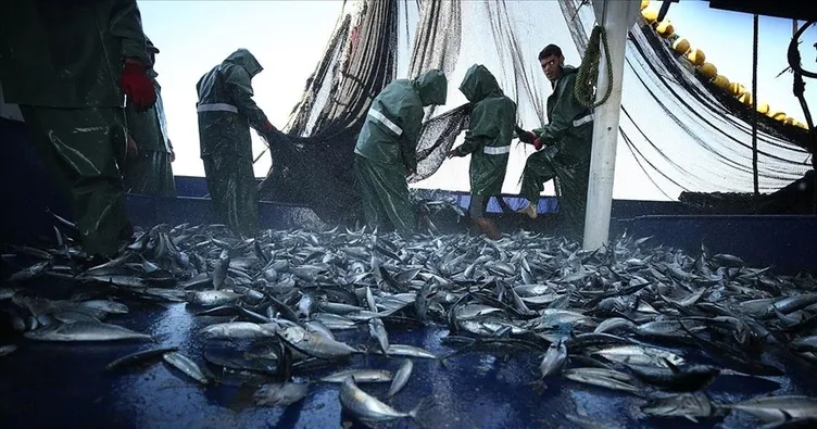 Vatandaş özellikle bu balığı istiyor!