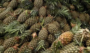 ananasi yogurtla tuketin yag yakimini hizlandirin saglik haberleri