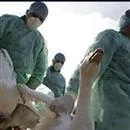 Tarihte bugün 14 Aralık