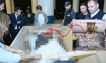 SON DAKİKA... Bilim dünyası bu olayı konuşuyor! Roma İmparatoru Marcus Aurelius heykeli 65 yıl sonra Türkiye’de: Tırnaklarımızla kazıdık! #burdur