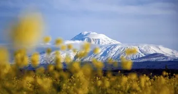Ağrı Dağı beyaza büründü...