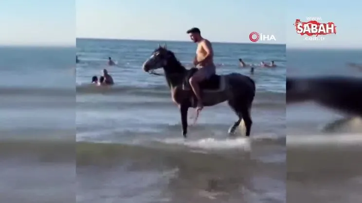 Şile'de atlar plajı birbirine kattı! İşte o anlar... | Video