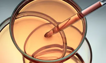 Laboratuvarda şans eseri başlayan serüven: Kimyanın yeni altın anahtarı bulundu