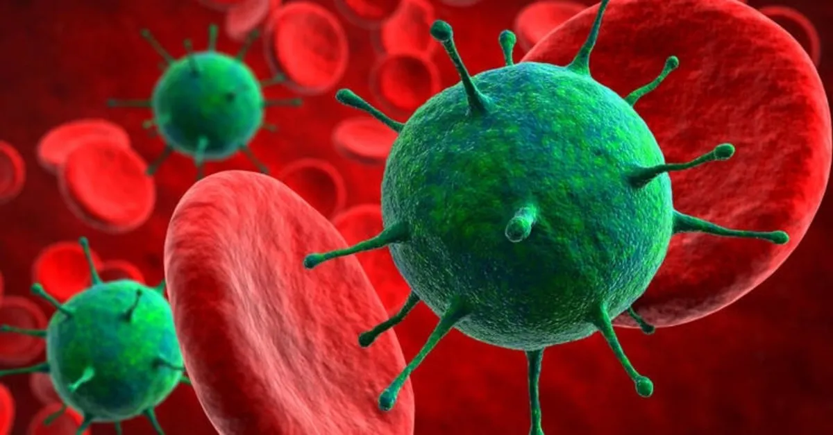 ruyada koronavirus olmak ne anlama gelir ruyada corona virusu olmus birini gormek neye isaret eder nasil yorumlanir ruya tabirleri haberleri ruyada koronavirus olmak ne anlama gelir ruyada corona virusu olmus birini gormek neye isaret eder nasil yorumlanir ruya tabirleri haberleri