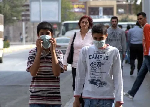 Türkiye'de domuz gribi alarmı