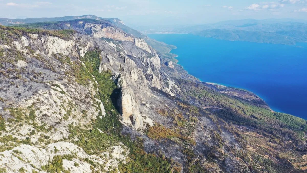 Muğla'daki orman yangınında 200 hektarlık alan zarar gördü: Acı tablo böyle görüntülendi!