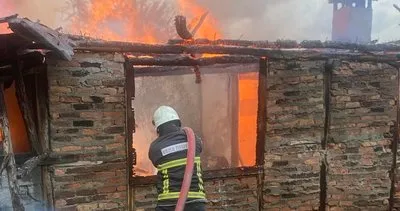 Kozlu Örencik köyünde 2 ev yanarak kül oldu