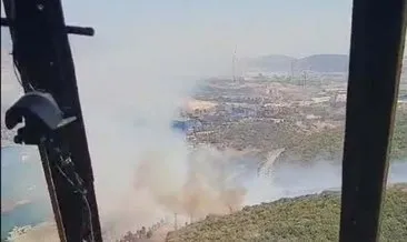 İzmir’de orman yangını çıktı!