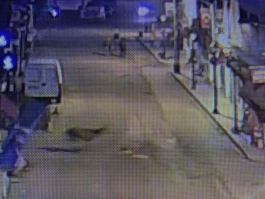 Nallıhan’da kızıl geyik polis kameralarına da takıldı