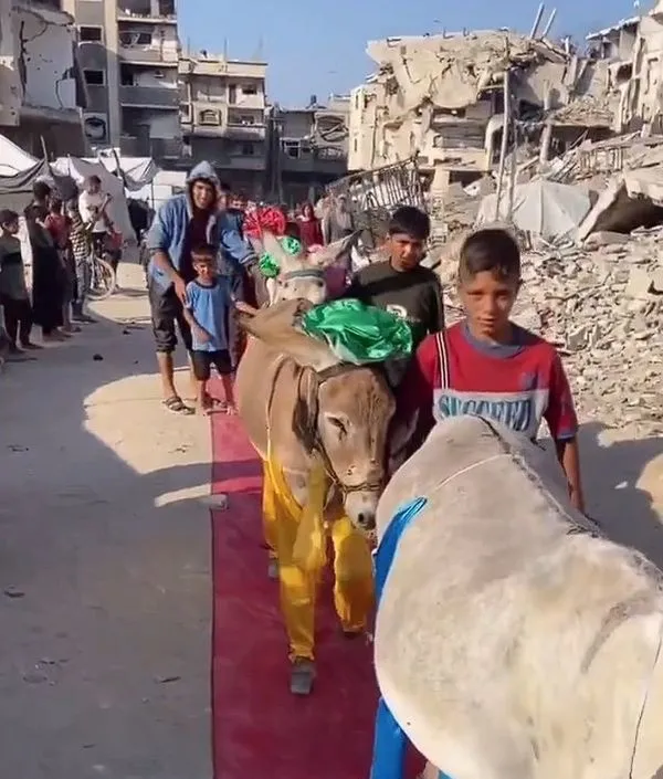 Gazze'de Eşekler