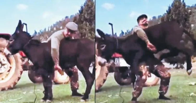 Eşekle idman kemer getirdi