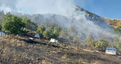 Tunceli’de, mezarlıkta başlayan yangın ormana sıçradı #tunceli