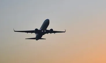 ABD’de yolcu uçağı acil iniş yaptı