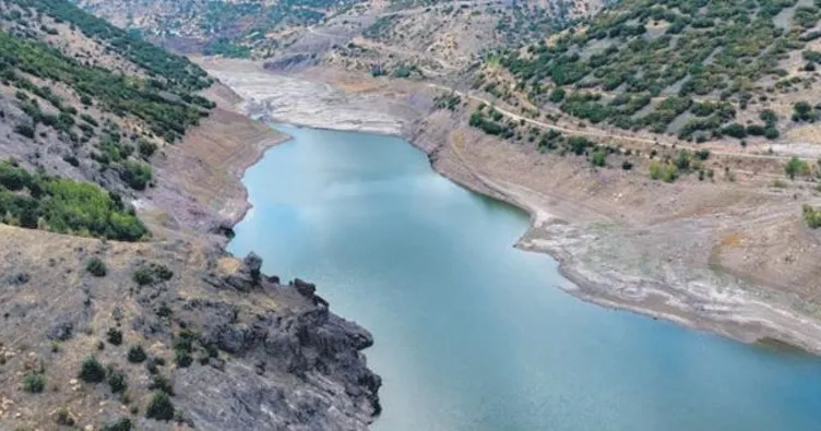 Tarım bakanlığı harekete geçti