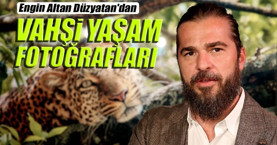 engin altan duzyatan in afrika da