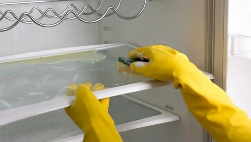 Buzdolabını 5 adımda tertemiz yapın! Özellikle gözden kaçan o kısım mikrop yuvası haline geliyor…