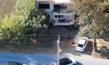 Balıkesir’de 25 sene önce ölü bulundu: Henüz 2 aylıktı! Gülüzar Bebek cinayetini ablası itiraf etti #aydin
