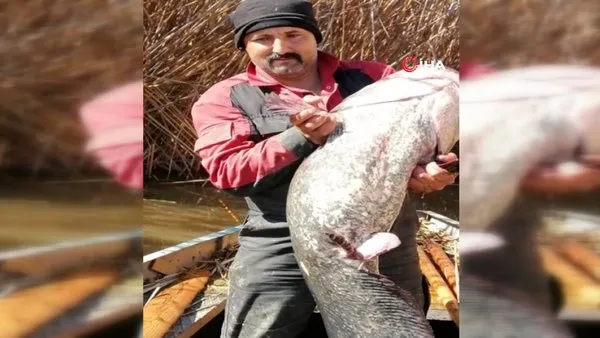 Gölhisar gölünde 35 kg'lık yayın balığı yakalandı | Video