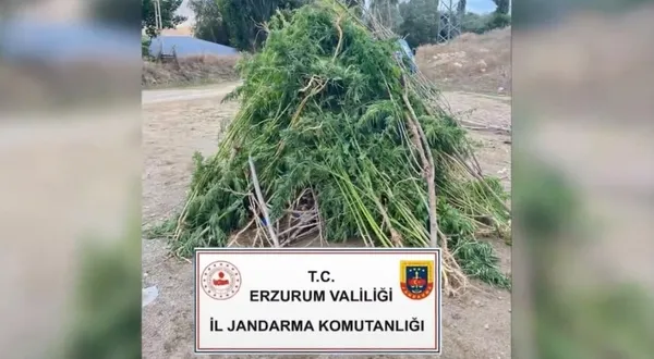 28-ilde-uyusturucu-madde-saticilarina-yonelik-operasyon-548-kilo-uyusturucu-madde-ele-gecirildi-1788856140300.jpg