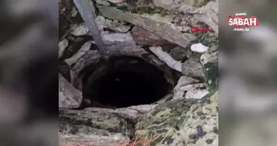 Çanakkale’de 7 metrelik kuyuya düşen porsuk, kurtarıldı | Video