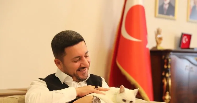 Nevşehir Belediye Başkan Arı bir ayağı olmayan sokak kedisini sahiplendi