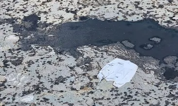 Önce Meles sonra körfez