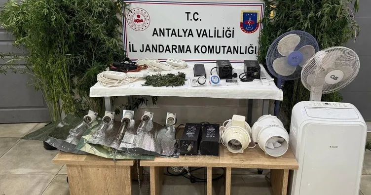 Evini uyuşturucu serasına çevirdi