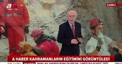 Jandarma Arama Kurtarma JAK timlerinin zorlu eğitimleri | Video