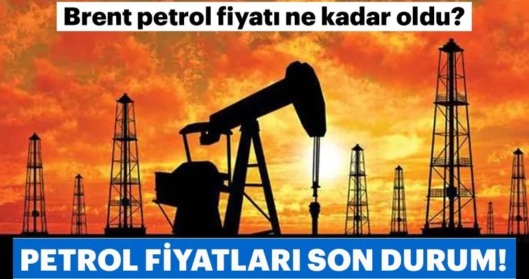 Haraşo Olarak Örülen Önler Kruvaze Ayıcık Süslemeli Spor Görünümünlü Çocuk Hırkası Yapımı. 2 .3 yaş 29