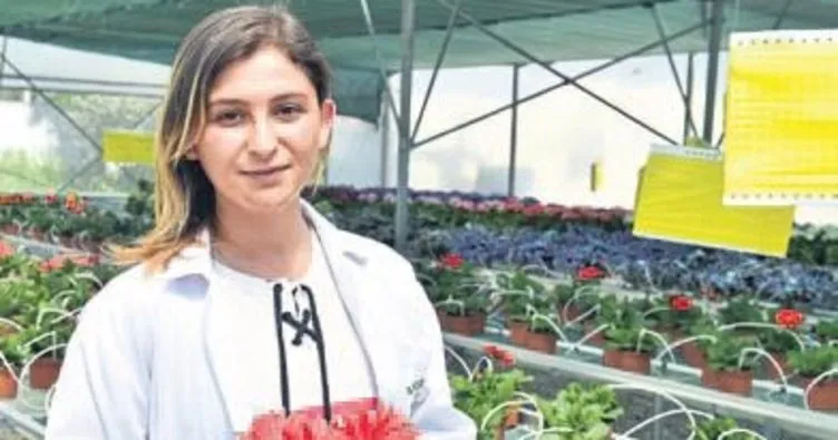 Çiçek devi Hollanda’ya İzmir’den ihracat