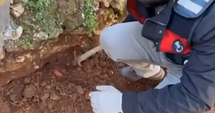 Toprağa gömülen captagonları narkotik köpeği buldu