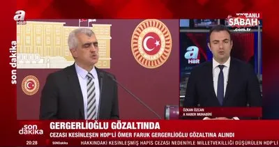 Son dakika: HDP’li Ömer Faruk Gergerlioğlu gözaltına alındı | Video