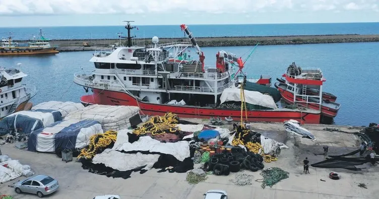 Balıkçılar yeni sezonda palamuttan umutlu