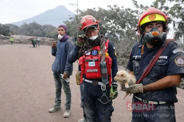 Korkunç görüntüler ortaya çıktı