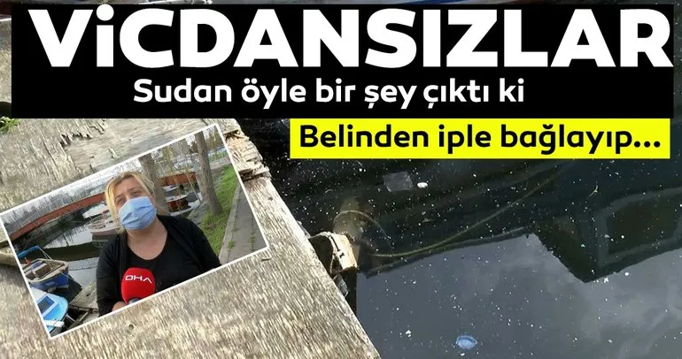 Böyle vicdansızlık görülmedi! Köpeği iple bağlayıp göle attılar!