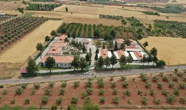 Türkiye'ye örnek barınak #gaziantep