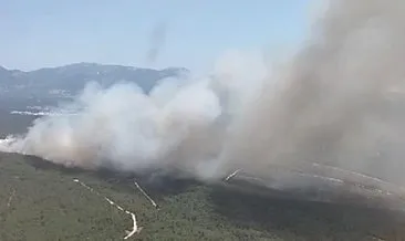 İzmir’de orman yangını! Havadan ve karadan müdahale sürüyor