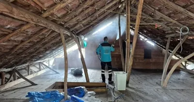 Kokarcaya karşı seferberlik! 3 bin yapı ilaçlandı #trabzon