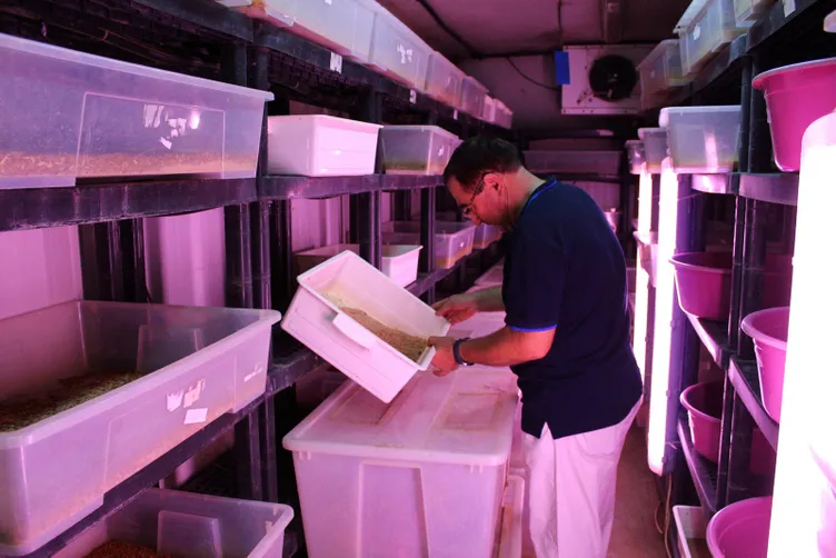 Paketleyip kilosunu 90 TL'den sattıÄı kurtlarla Avrupa'ya açılacak