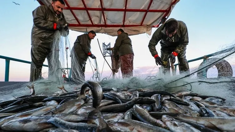 Balıkçılar dikkat! O şartı sağlayan %25 daha fazla ödeme alacak