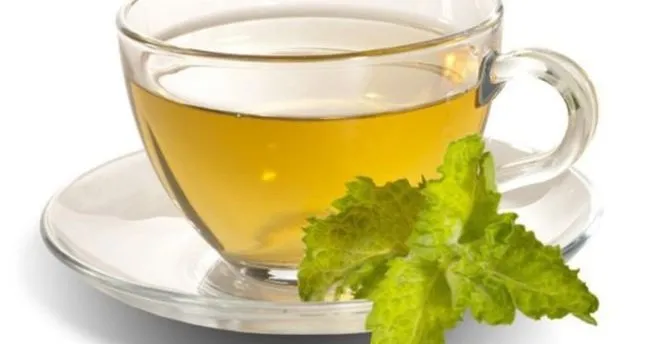 Yesil Cayin Faydalari Duzenli Olarak Tuketilmesi Onerilen Yesil Cayin Faydalari Nelerdir Saglik Haberleri