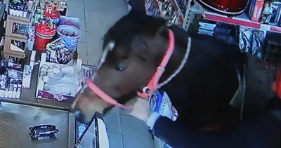 Antalya’da akılalmaz olay! Atla alışverişe gitti: Lamborghini araba verseler...